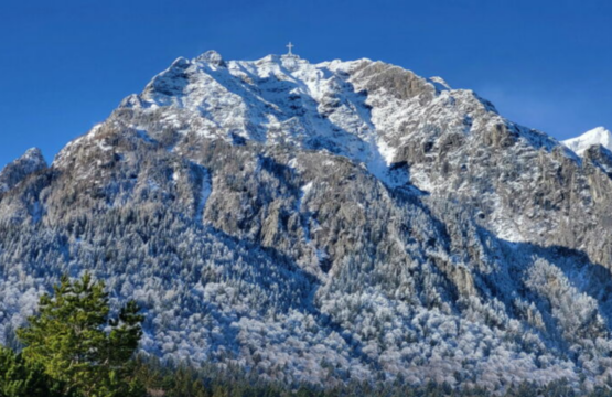 Bușteni