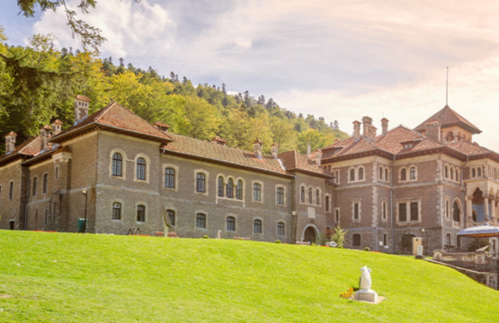 Bușteni